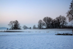 Nebel