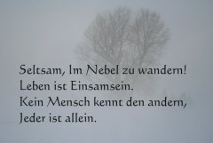 Nebel