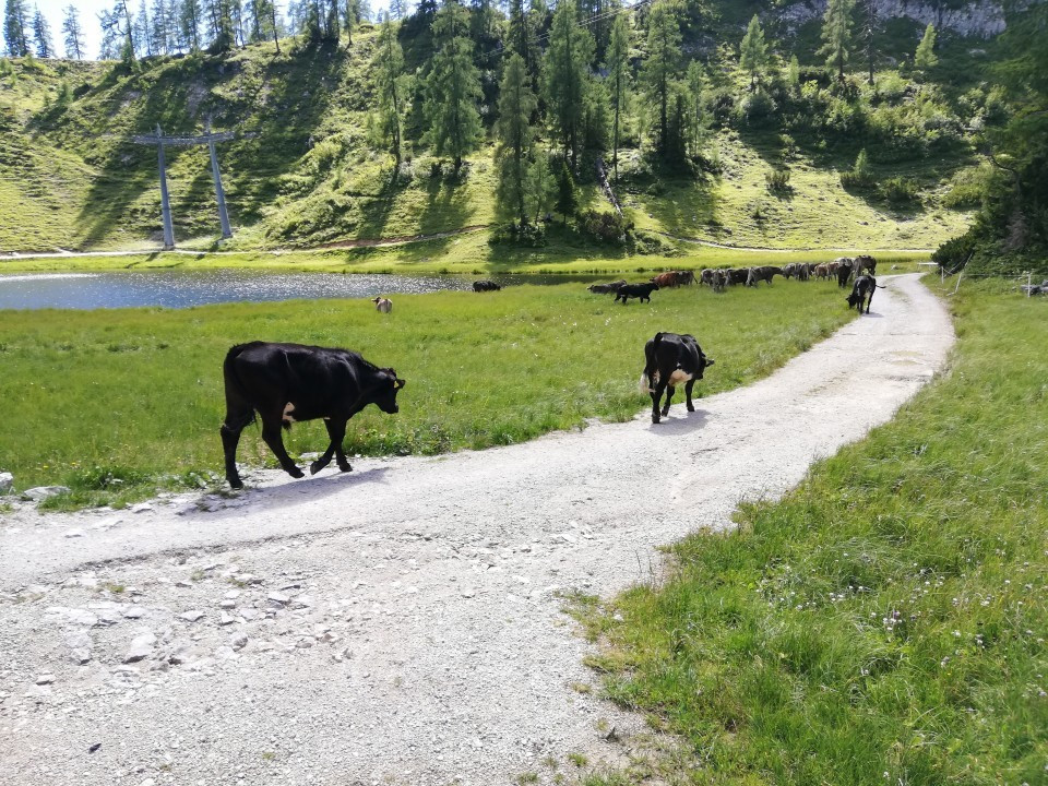 Tauplitzalm 6-Seen Wanderung