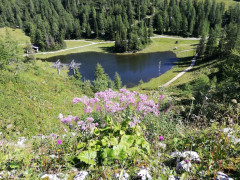 Tauplitzalm 6-Seen Wanderung
