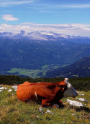 Tauplitzalm 6-Seen Wanderung