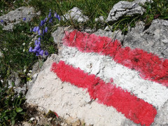 Tauplitzalm 6-Seen Wanderung