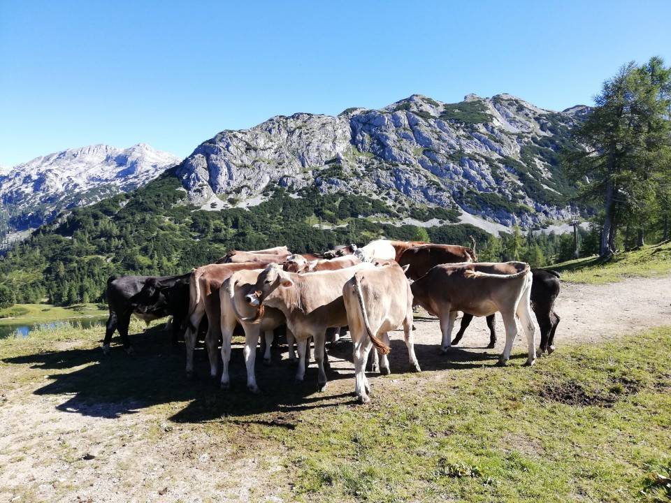 Tauplitzalm 6-Seen Wanderung