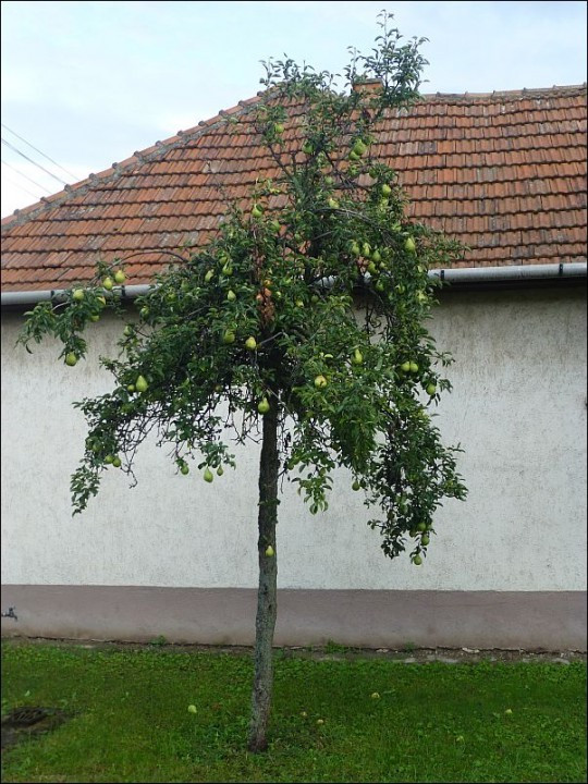 ?random=805872216&maxWidth=0&embedded=0#imageAnker_40177
