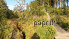 Liebesbankweg Harz