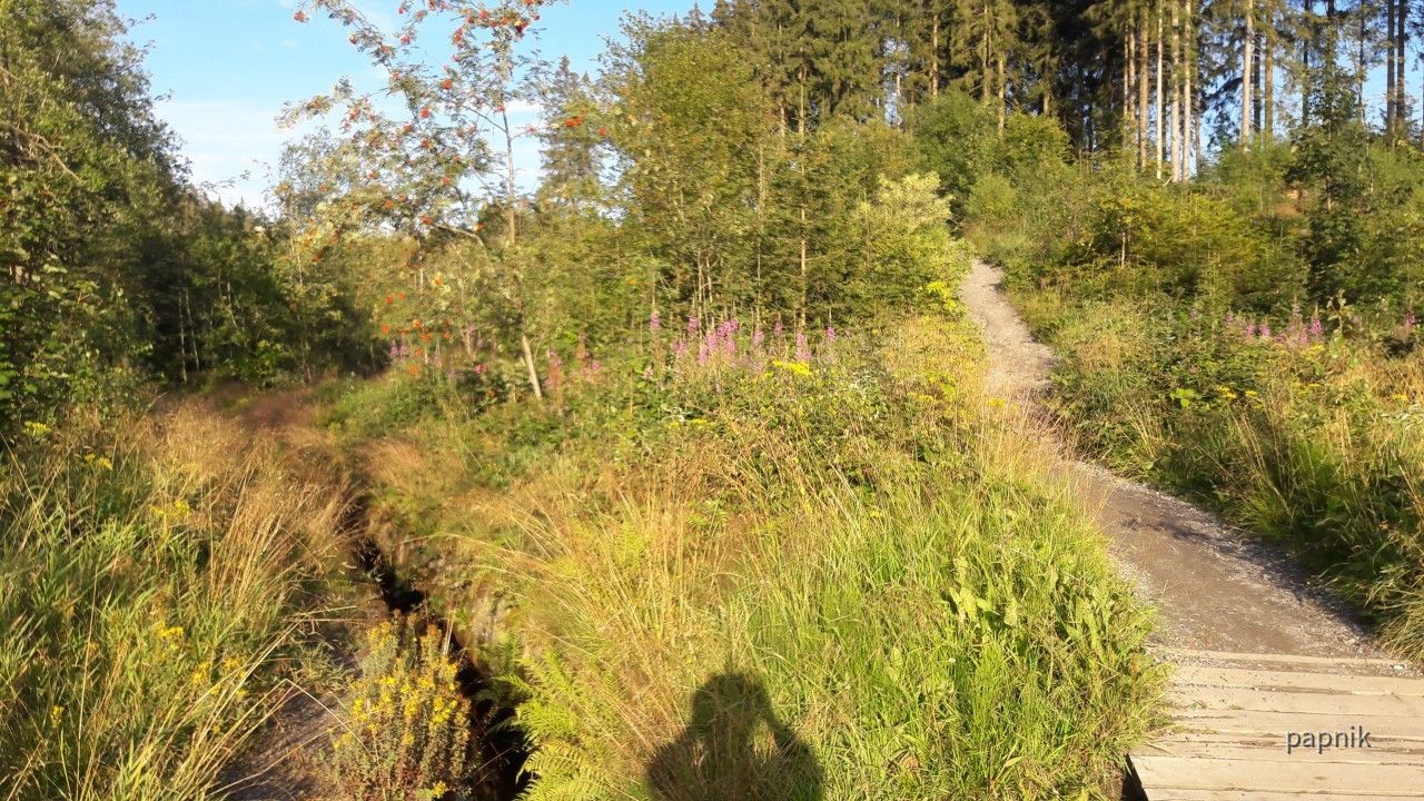 Liebesbankweg Harz