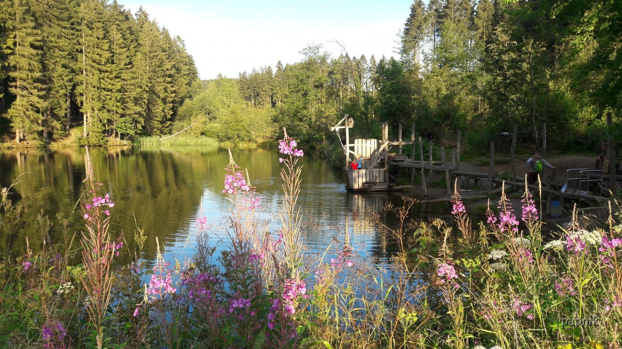 Wasserspielpatz Liebesbankweg Harz Krumbachteich