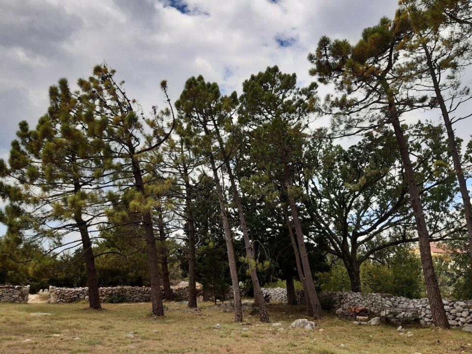 53 Starigrad-Paklenica