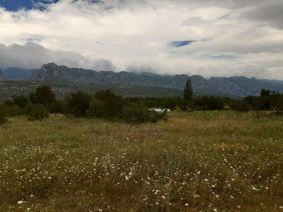 65 Starigrad-Paklenica