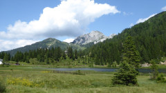 14 rund um Lago di Pramollo (15)