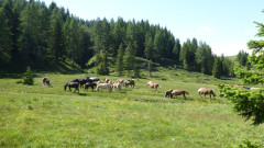 16 rund um Lago di Pramollo (24)