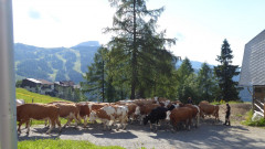 35 rund um Lago di Pramollo (8)