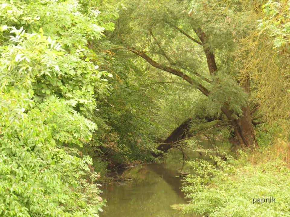 Fränkische Saale
