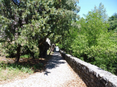 Cividale del Friuli