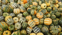 1. September 2020  (7)