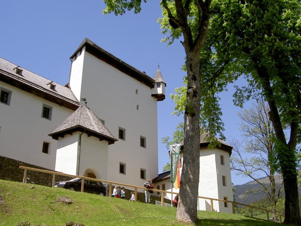 Goldegg 2004  (3)