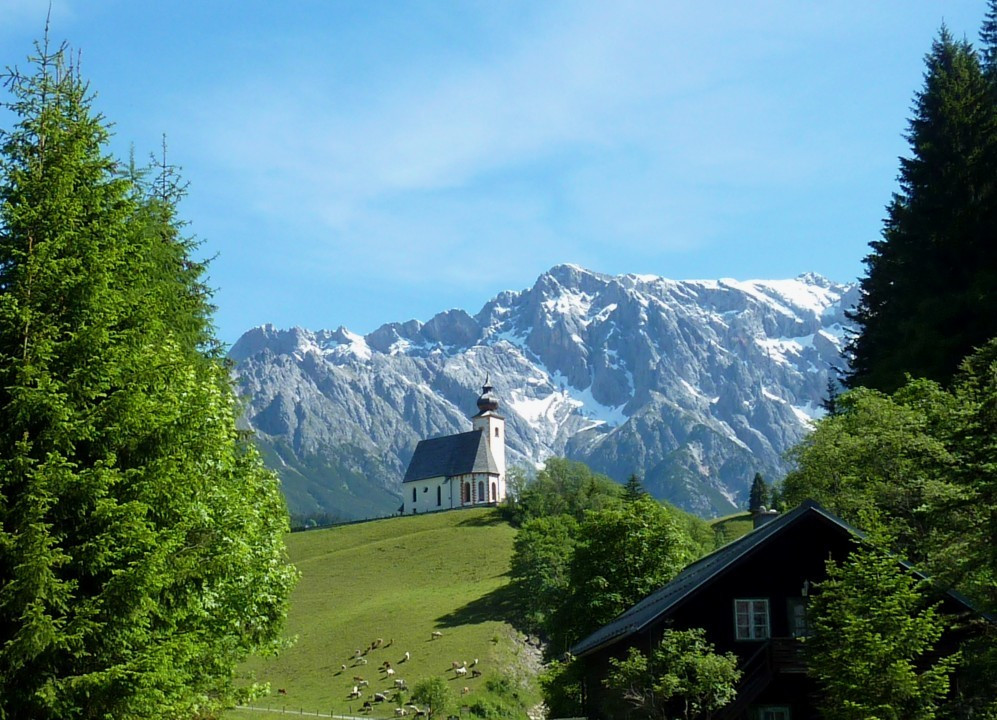 Dienten 2011