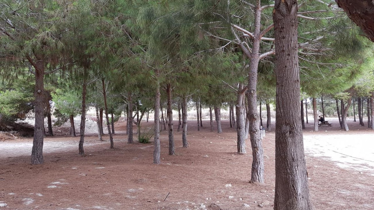 Stausee_Pedrera_01