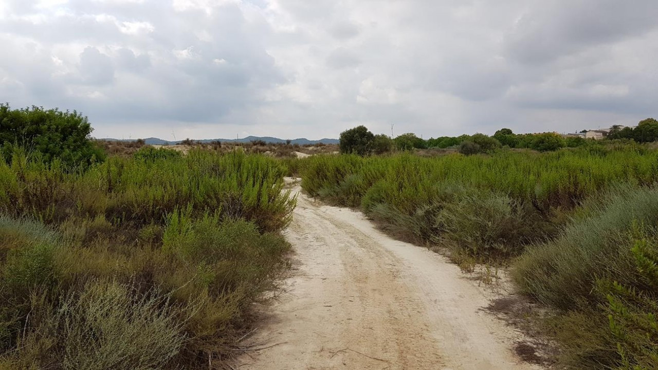 Stausee_Pedrera_05