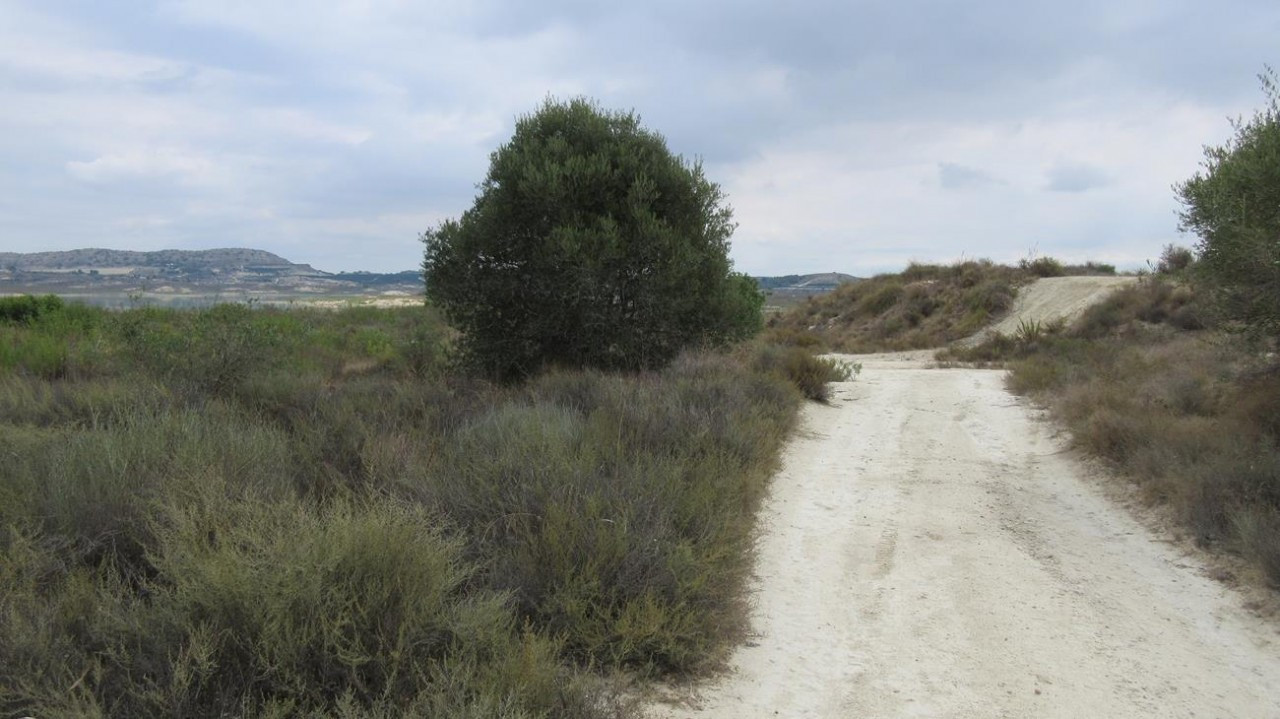 Stausee_Pedrera_07