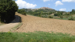 Chiusdino (1)