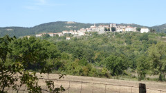 Prato
