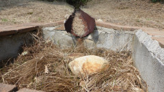 Le Biancane Monterotondo Marittima (9)
