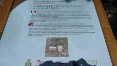 Le Biancane Monterotondo Marittima (10)