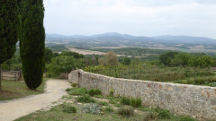 Gemüsegarten