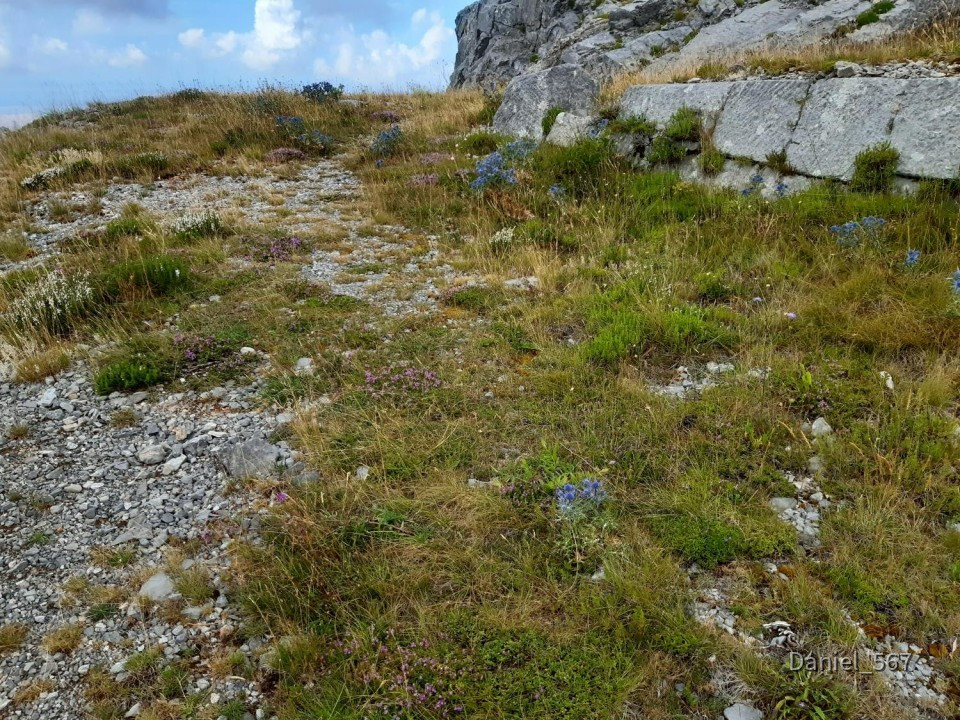 15_Kubus