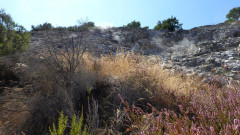 07a Sasso Pisano (9)