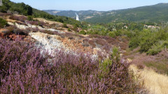 08a Sasso Pisano (31)