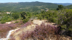 09 a Sasso Pisano (26)