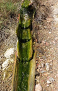 Le Biancane Monterotondo Marittima PG (2)