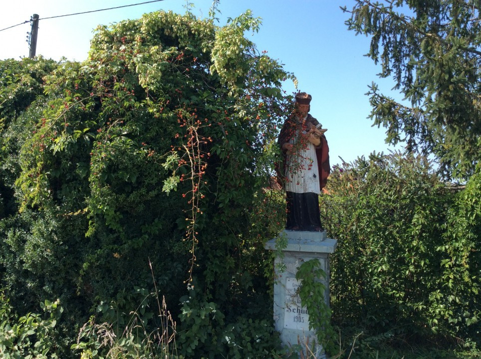 Herrnbaumgarten < Nepomuk