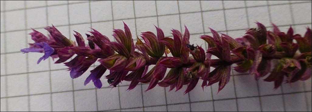 ?random=982318596&maxWidth=0&embedded=0#imageAnker_41129
