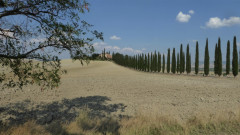 Colline  Senesi(28c (38)