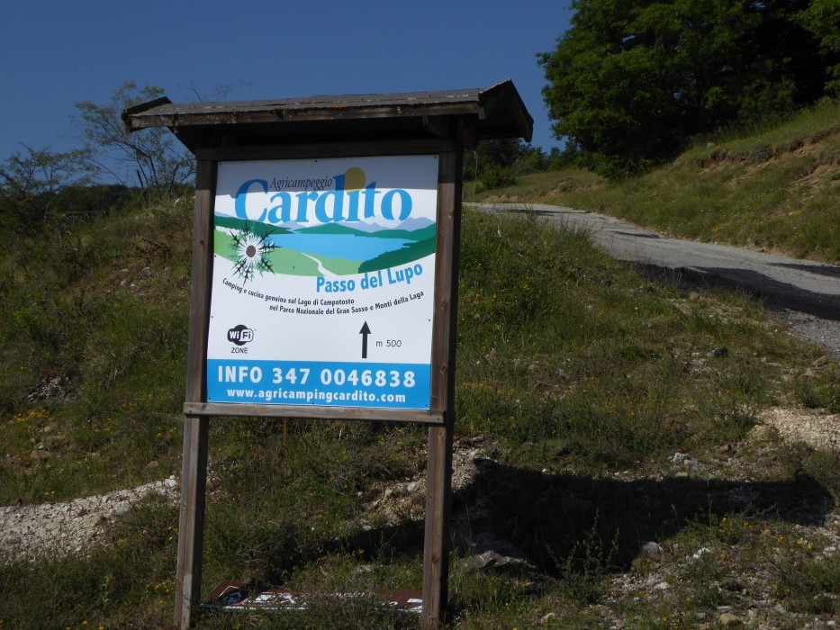 P1000236