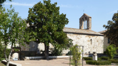 San Quirico Santa Maria Assunta (5)