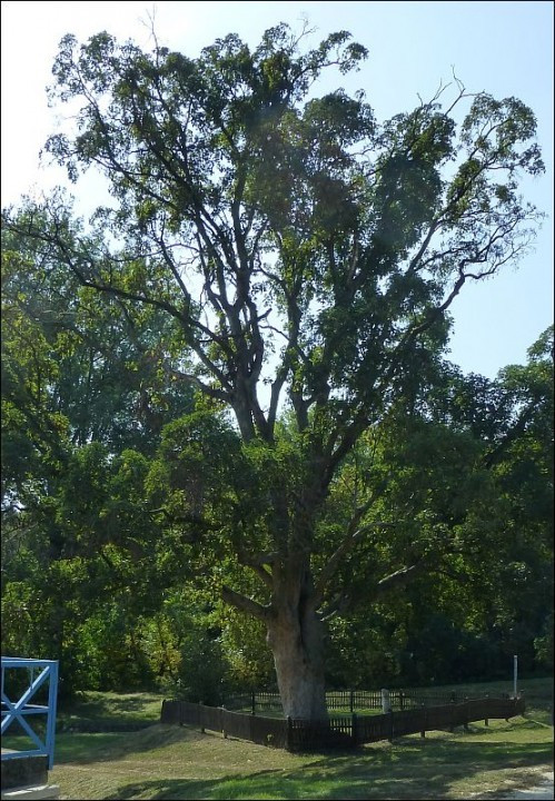 ?random=2094097530&maxWidth=0&embedded=0#imageAnker_41524