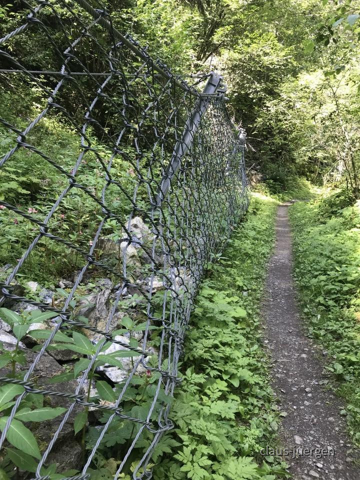 ?random=58125369&maxWidth=0&embedded=0&thumbnail=large