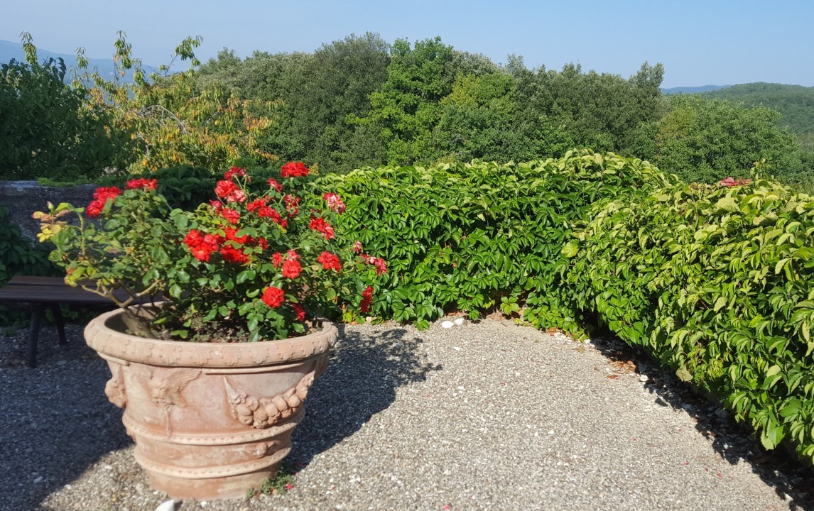 Terrakotta