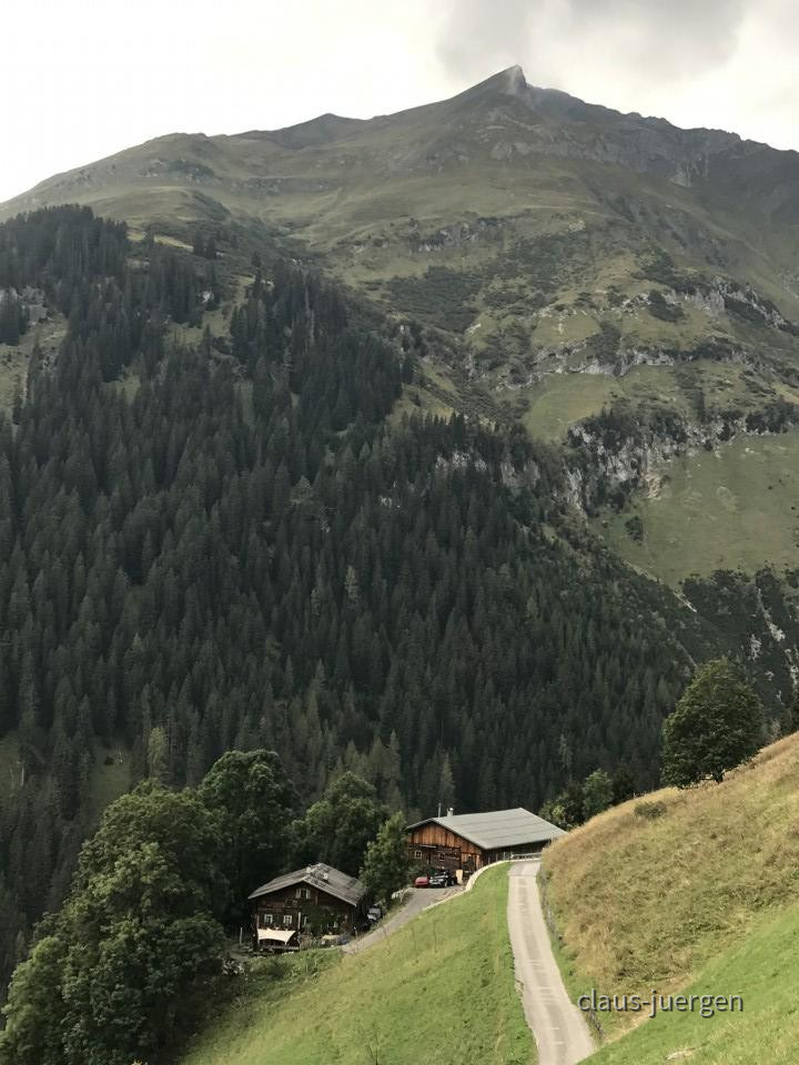 ?random=513506758&maxWidth=0&embedded=0&thumbnail=large