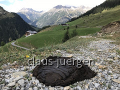 Wanderung Kaisers Alpe 