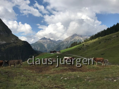 Wanderung Kaisers Alpe
