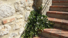 Treppe