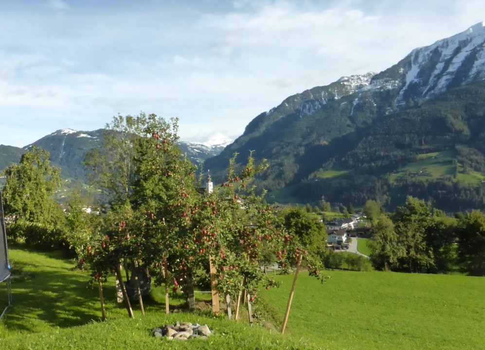 St. Veit, Wintereinbruch (5)