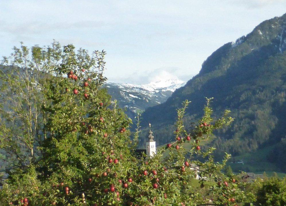 St. Veit, Wintereinbruch (6)