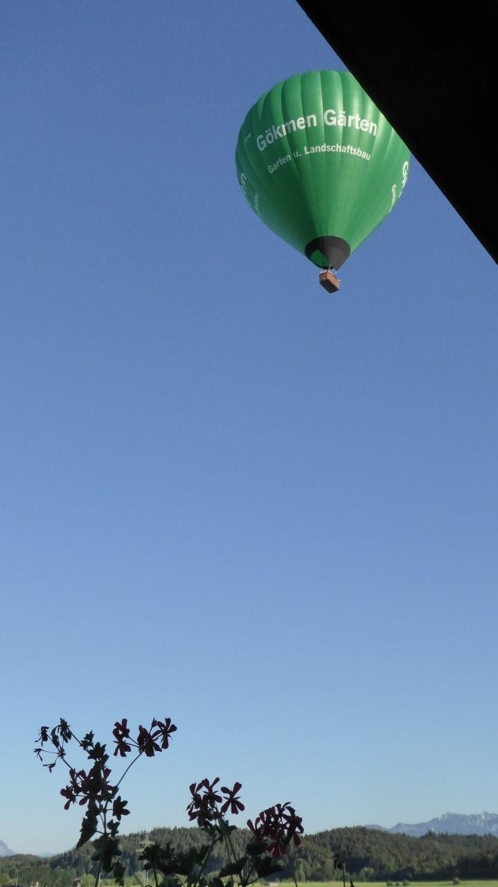 ?random=1877162340&maxWidth=0&embedded=0&thumbnail=large