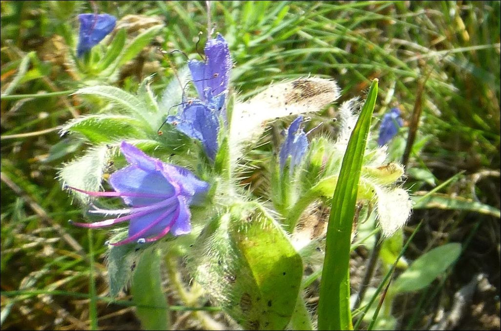 ?random=1458848639&maxWidth=0&embedded=0#imageAnker_41877
